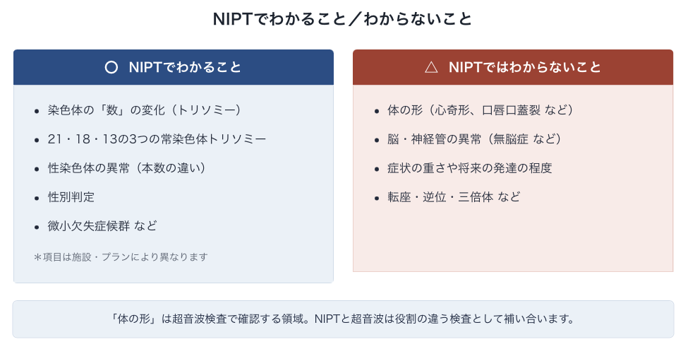 【図3】NIPT でわかること／わからないこと。染色体の数の変化はNIPT、体の形は超音波検査というすみ分けになります。