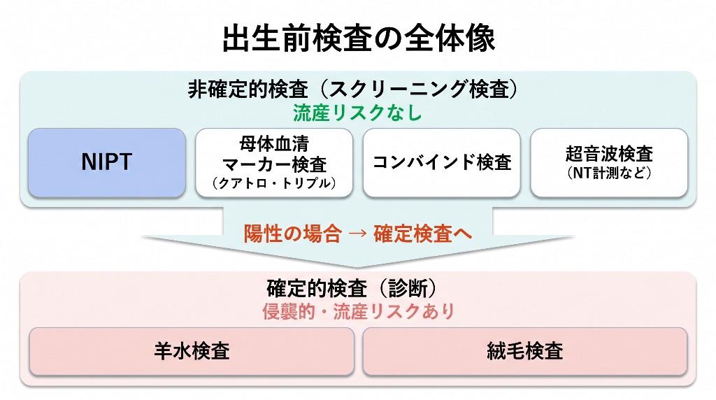 【図2】出生前検査の全体像(確定検査・非確定検査の関係性)。まず非確定的検査で「可能性」を確認し、必要に応じて確定的検査で「確定」させる流れが基本です。