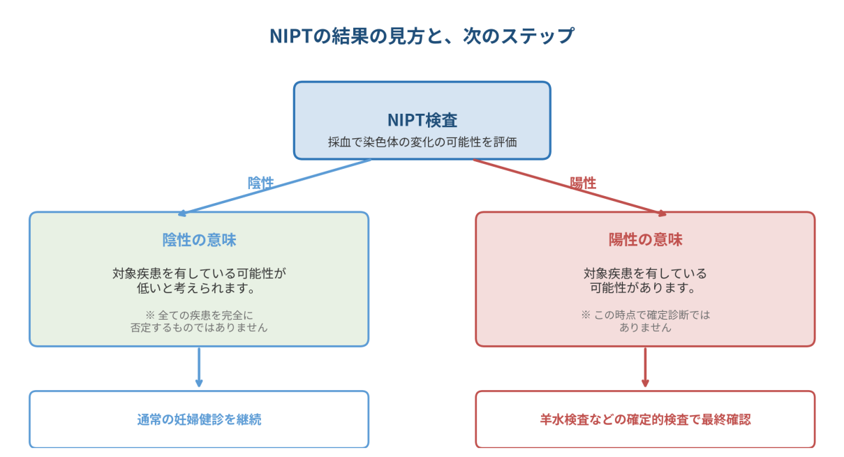【図】NIPT の結果と、その後の考え方。陽性・陰性はあくまで“可能性”を示すもので、確定診断ではありません。