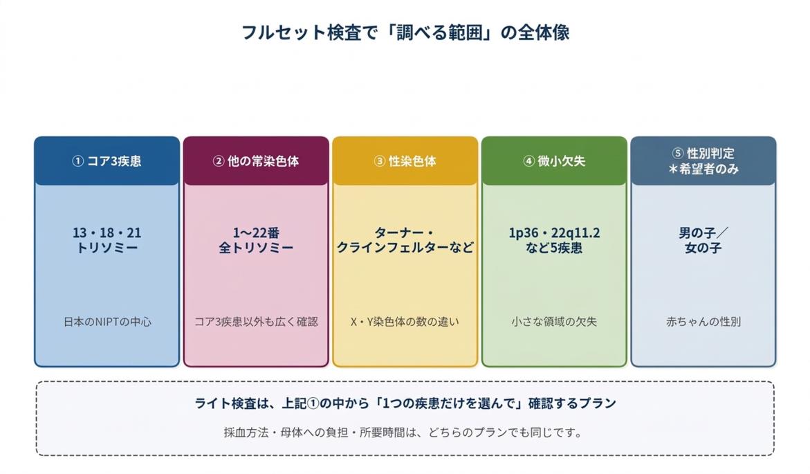【図2】フルセット検査で調べられる範囲のイメージ。5 つの領域を一度に確認します。