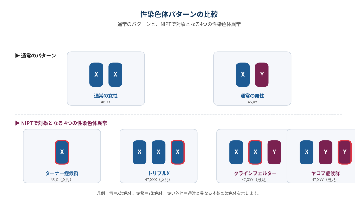 【図1】通常の性染色体（46,XX／46,XY）と、NIPT で対象となる4 つの性染色体異常のパターン。